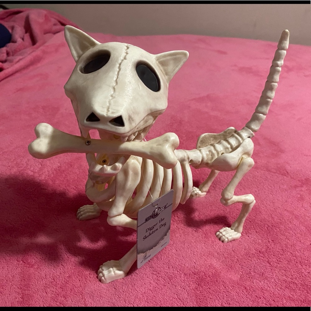 Skeleton Dog